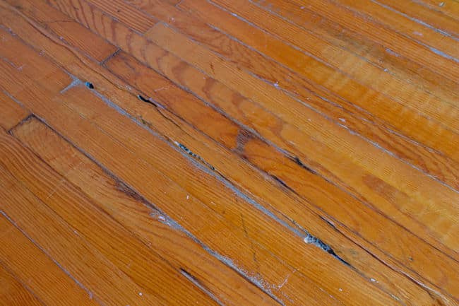 A floor installation professional can repair cracks before there are infections and unpleasant odors spreading through your home.